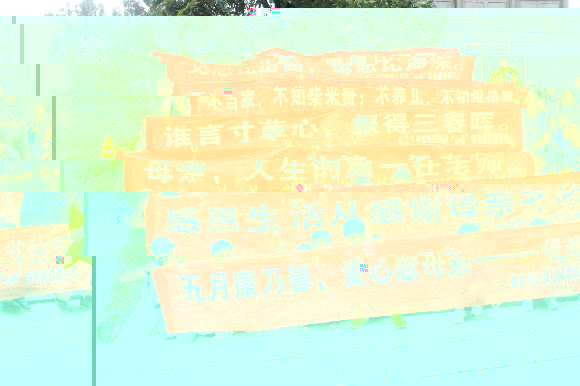 5550b3c10a5f5.JPG